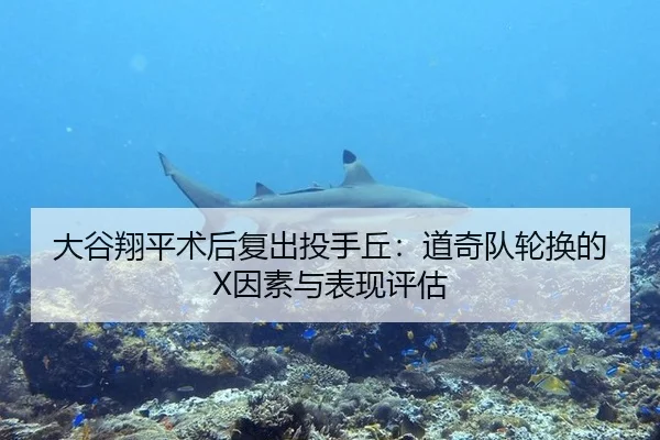 大谷翔平术后复出投手丘：道奇队轮换的X因素与表现评估